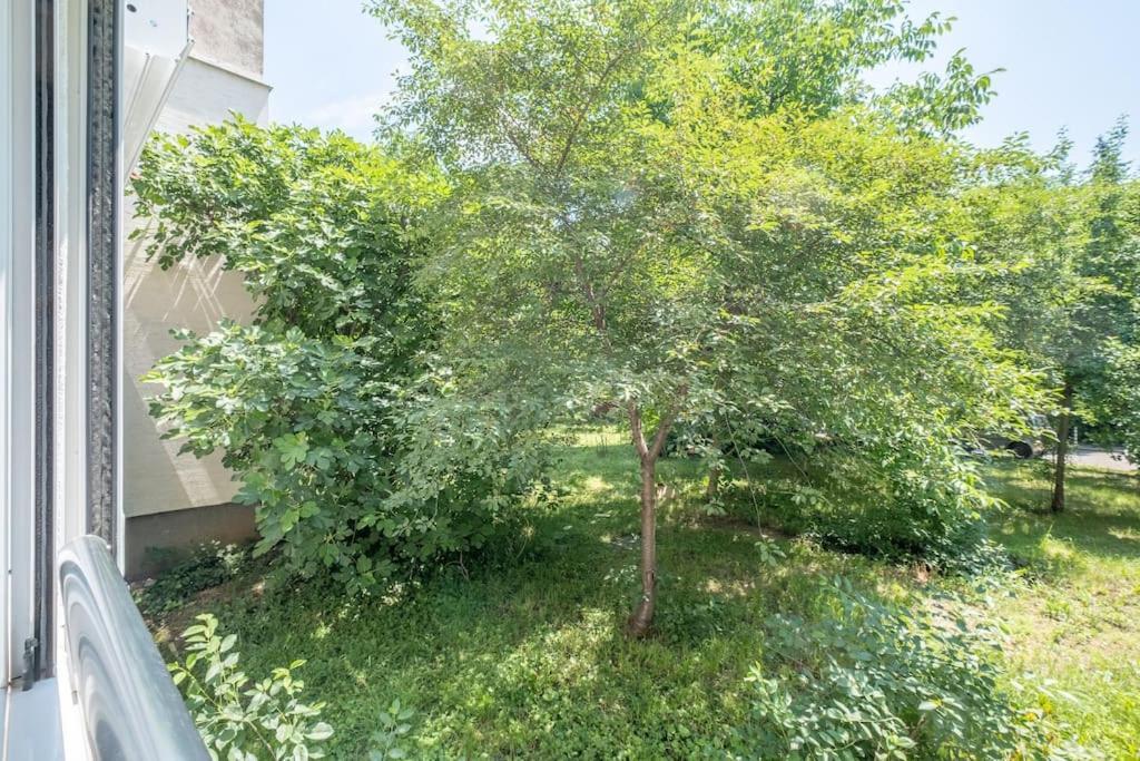 Top Location, Brand New 3 Bdrm Apt & Free Parking Sofia Exterior photo