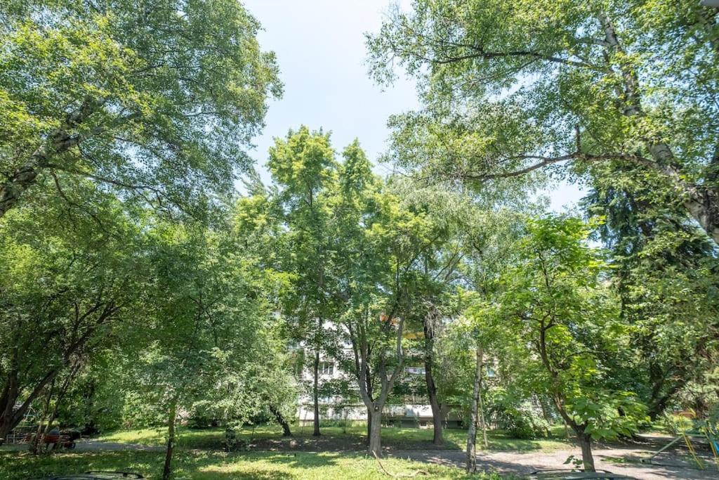 Top Location, Brand New 3 Bdrm Apt & Free Parking Sofia Exterior photo
